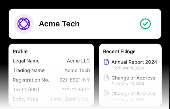 KYB Verification interface preview
